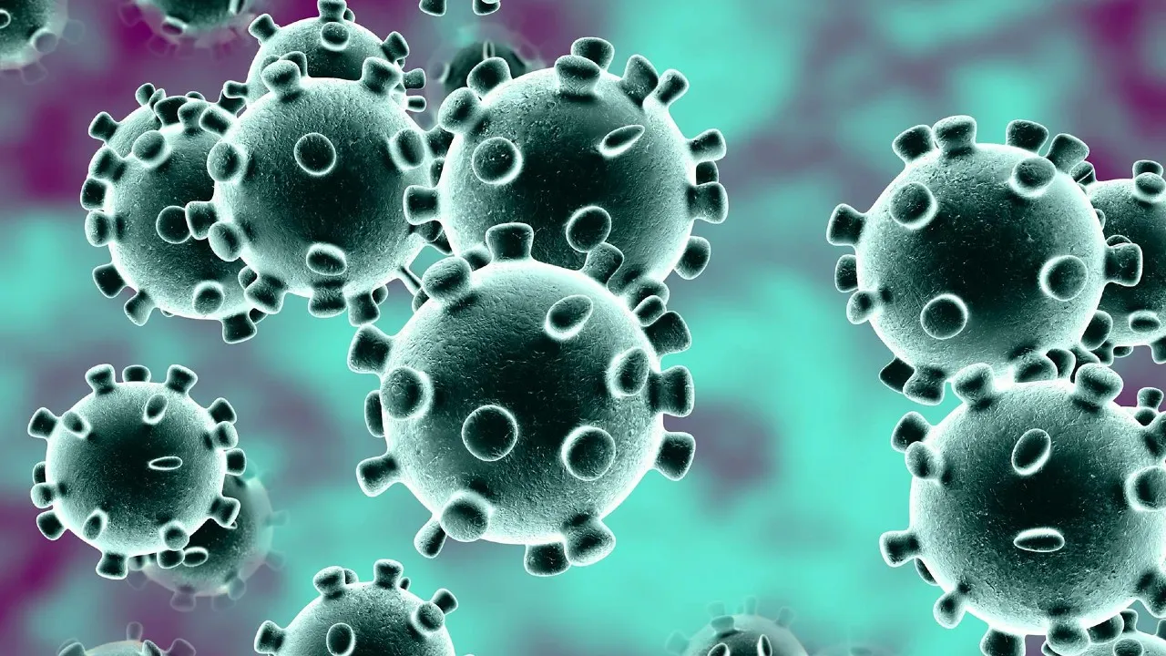 coronavirus.jpg