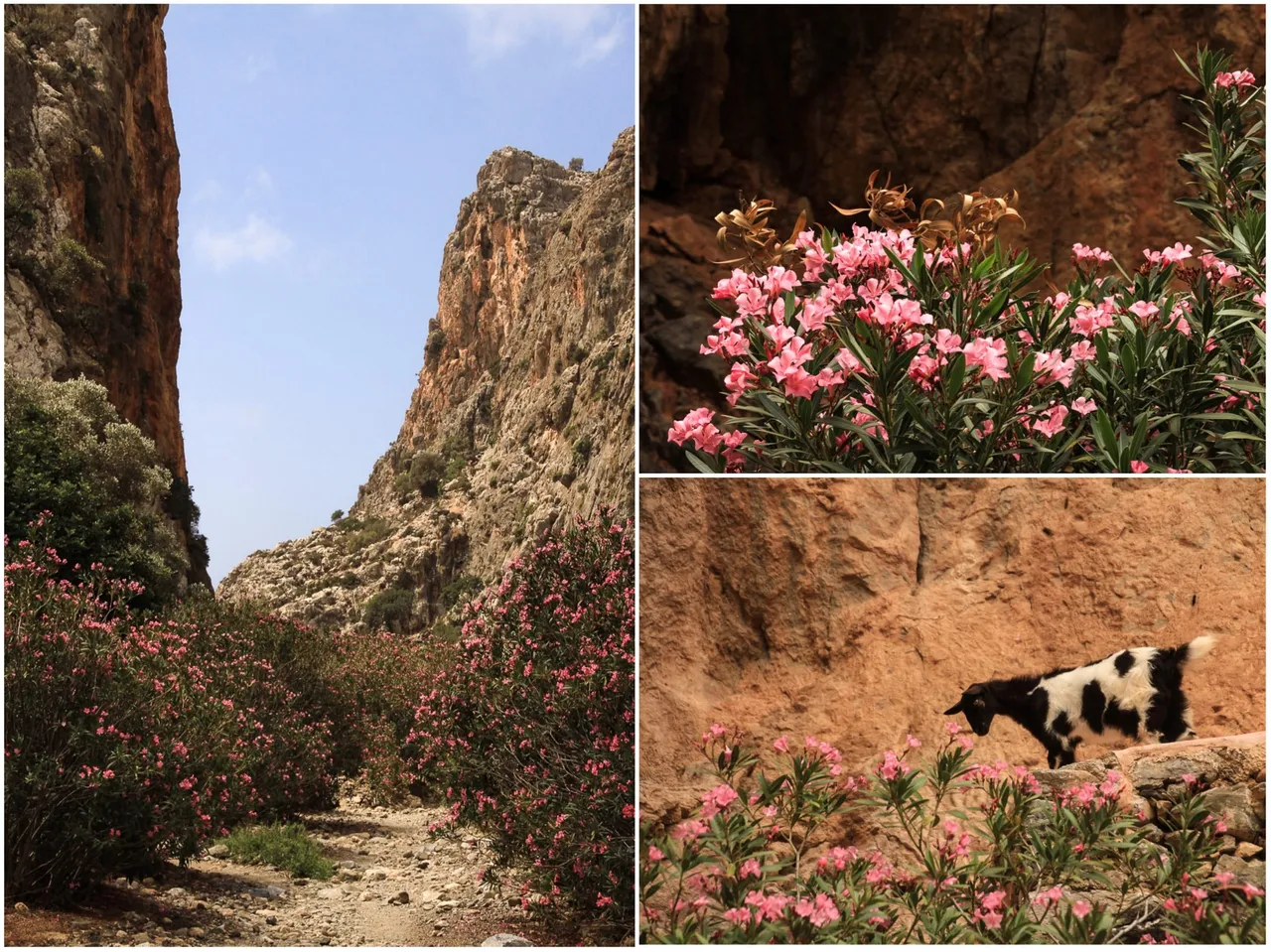 6_gorge 4.jpg