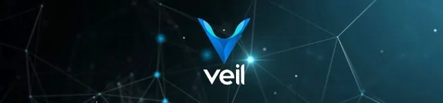 veil next.png