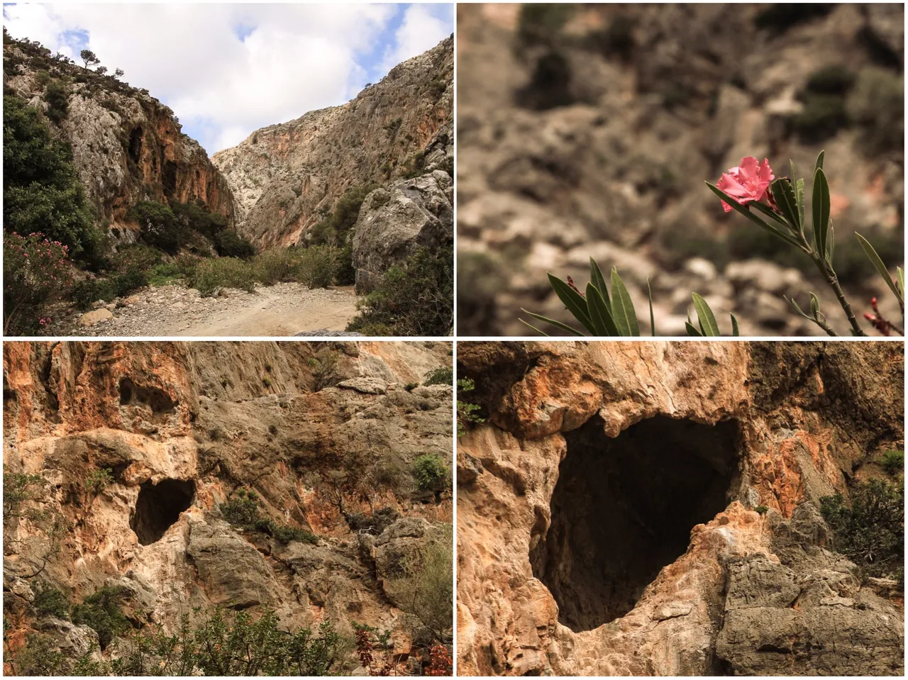4_gorge 2.jpg