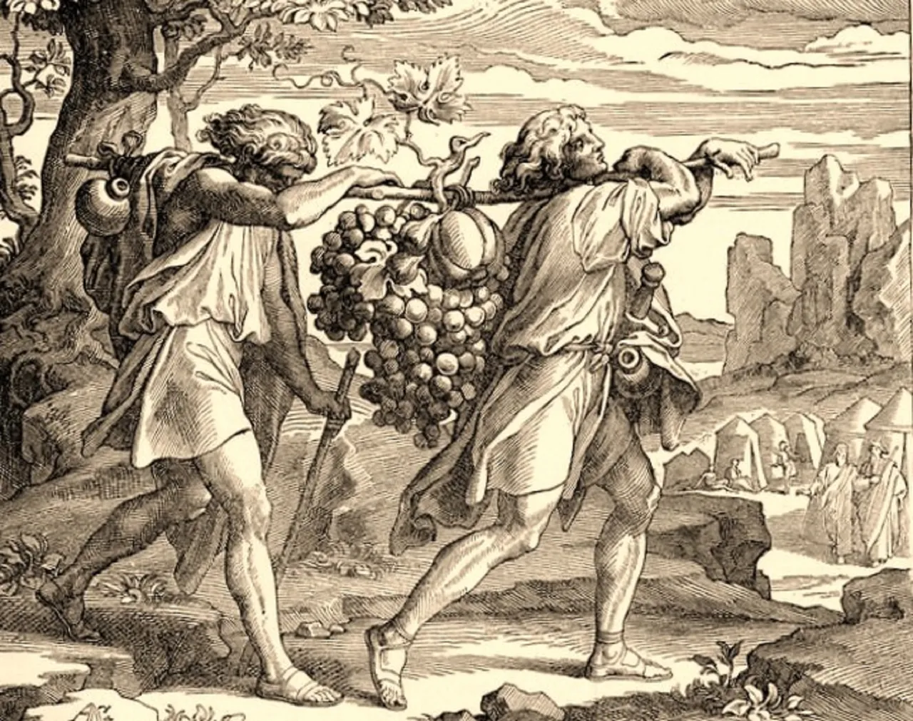 canaanspies.jpg