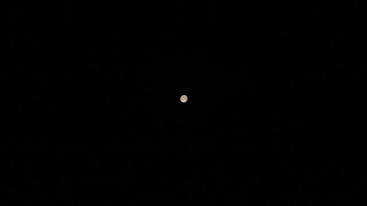 moon face.jpg