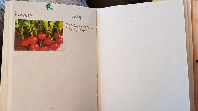 Journal 8.jpg