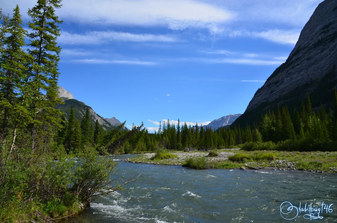 kananaskis3.jpg