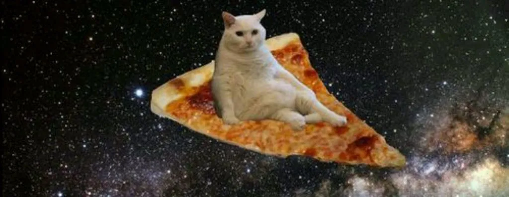 space cat.jpg