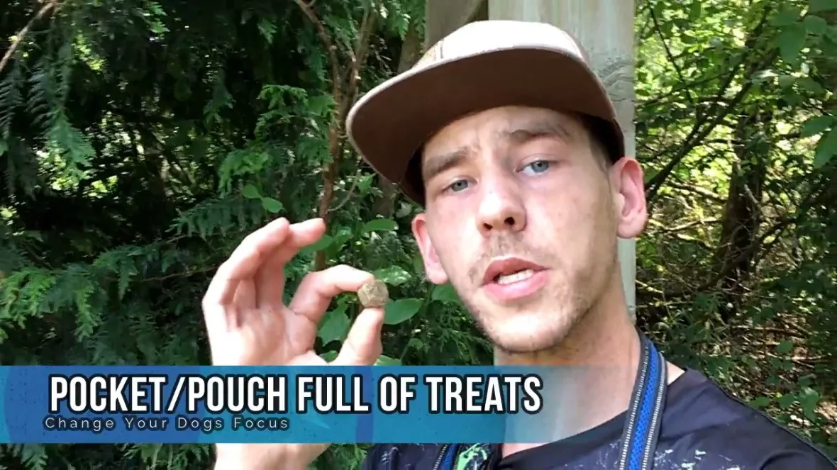 Pocket Full Of SmellyTreats