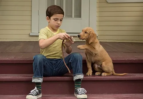movie_image.jpg