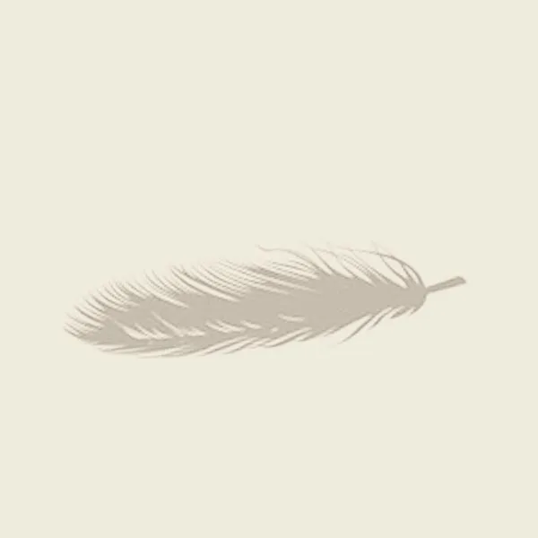 feather 2.jpg