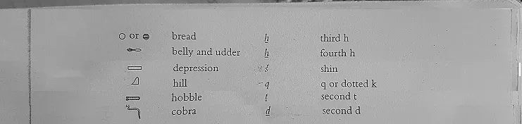 diacritici2.jpg