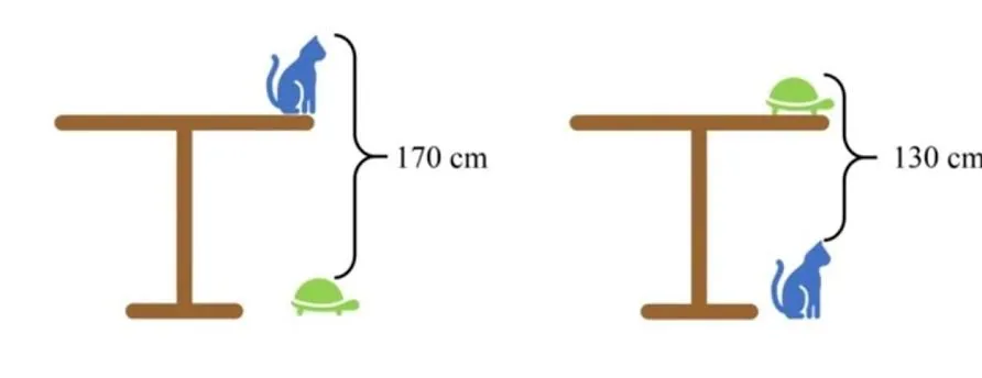 images (2).jpeg