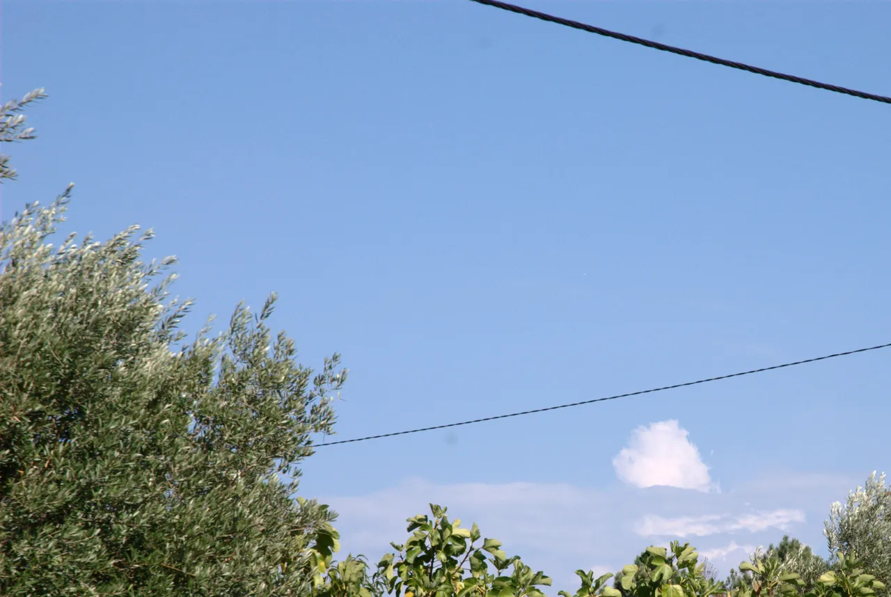 DSC_9322_1.jpeg