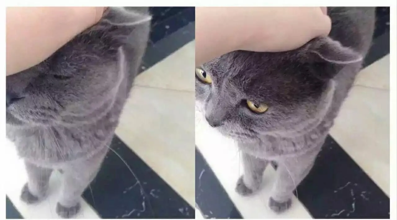 WechatIMG1.jpeg