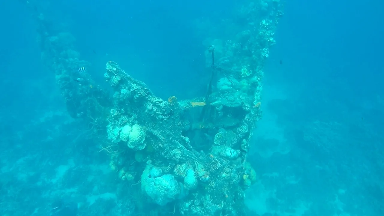 Shipwreck_2.jpg