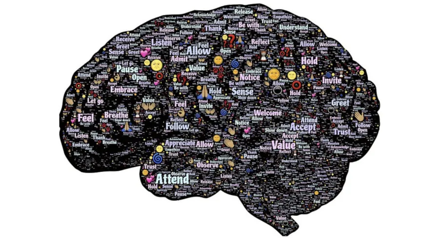 brain_small.jpg