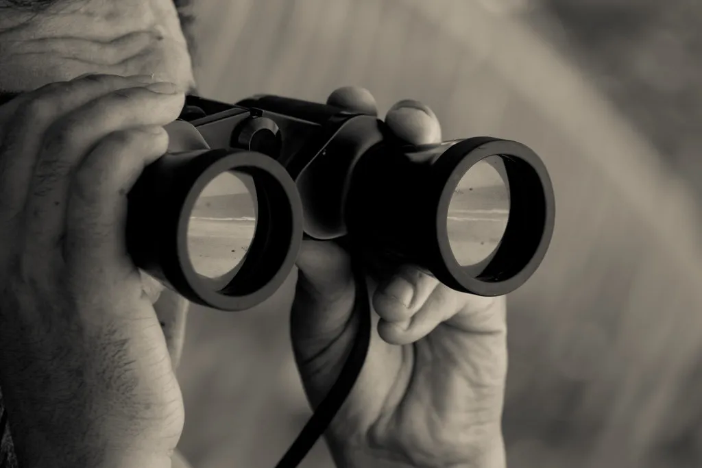 Observation.jpg