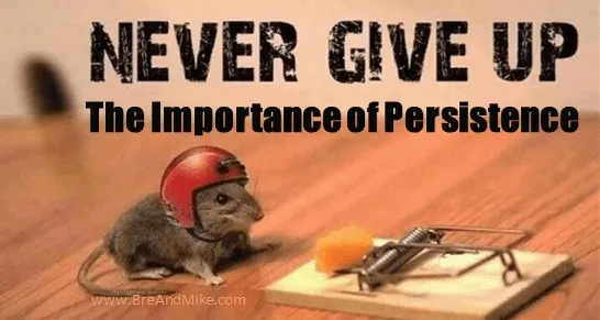 peseverance.jpg