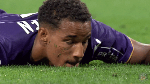 giphy (2).gif