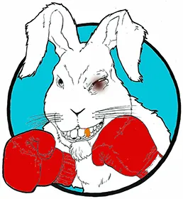 small_punch.png