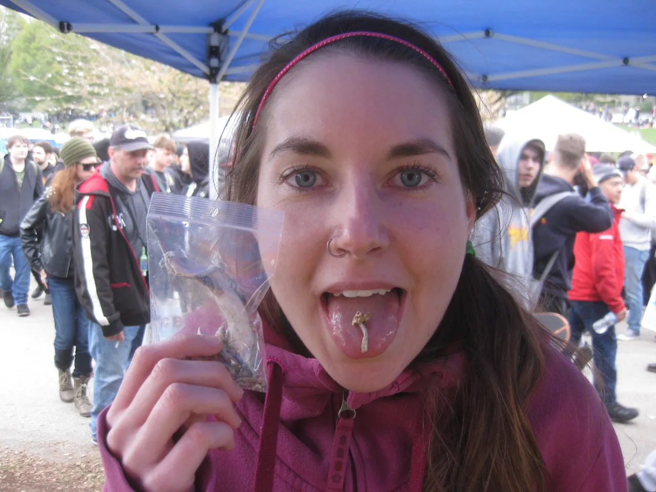 microdosing.jpg