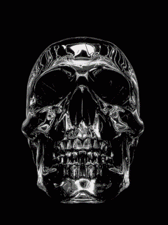 giphy (2).gif