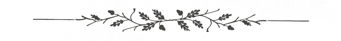 Separador-1.png