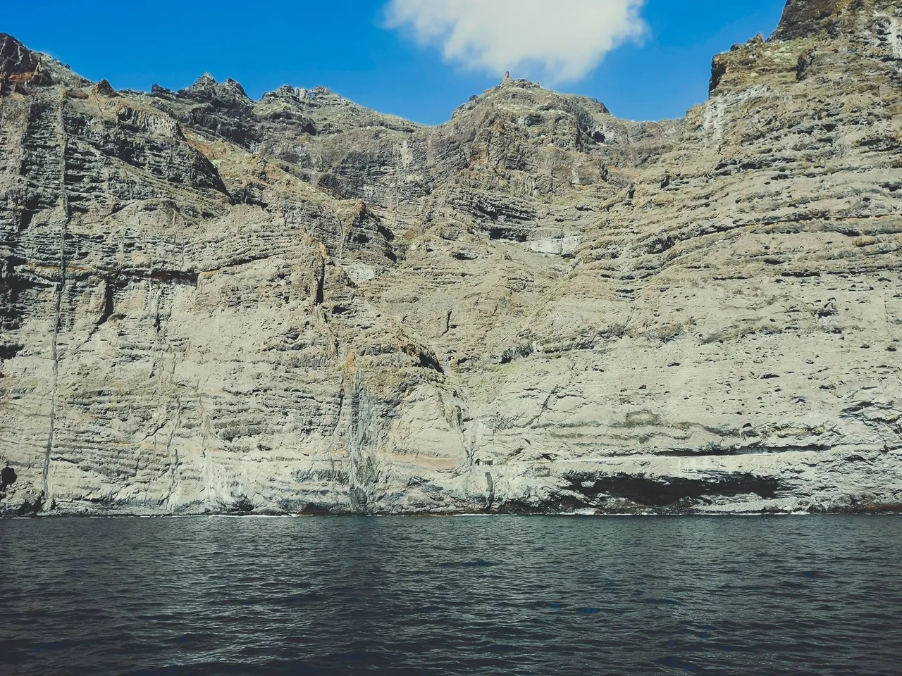 Most the dolphin watching tours will bring you close to Los gigantes for a swim. Don’t miss the chance! Photo by Alis Monte [CC BY-SA 4.0], via Connecting the Dots