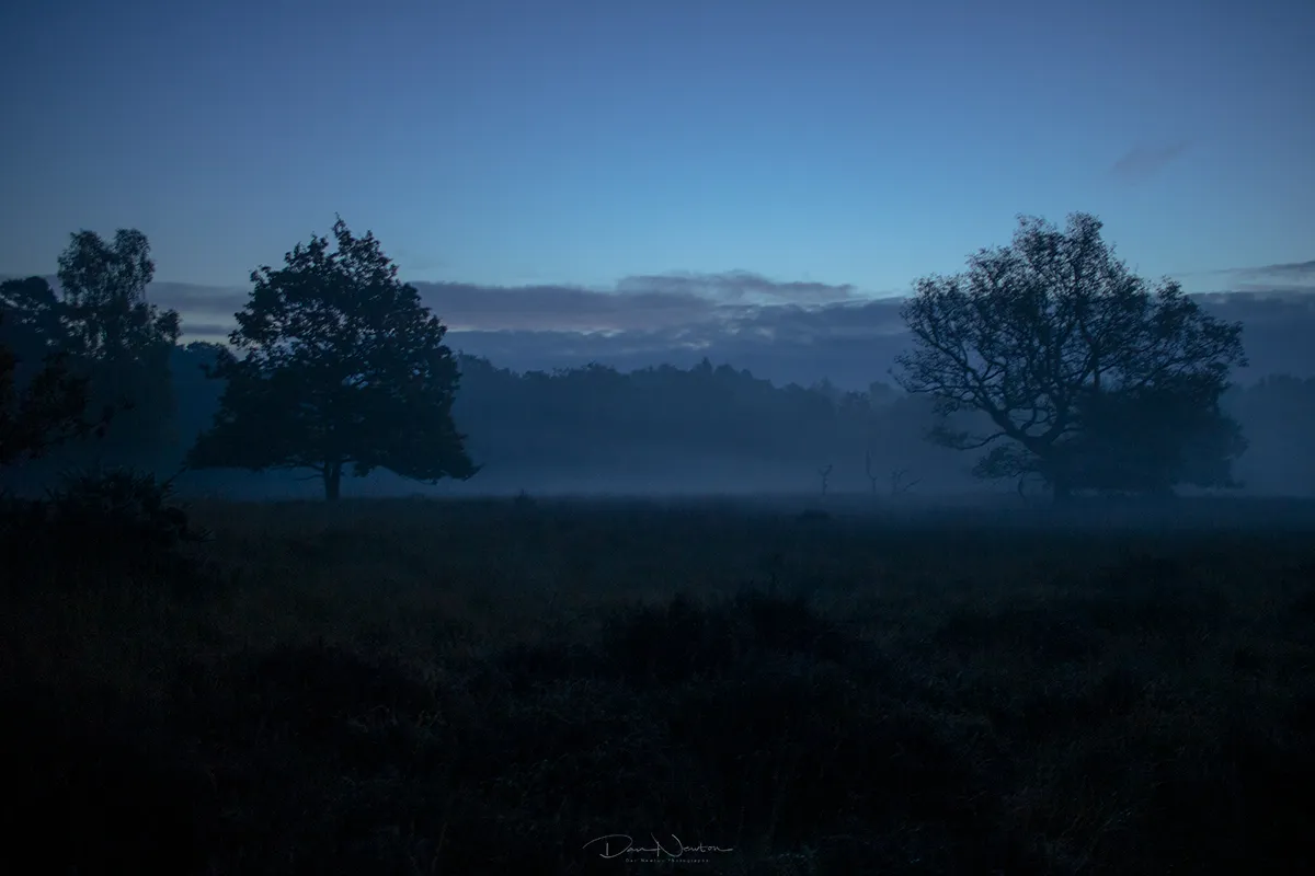 Linwood Landscape nov0096PP.jpg