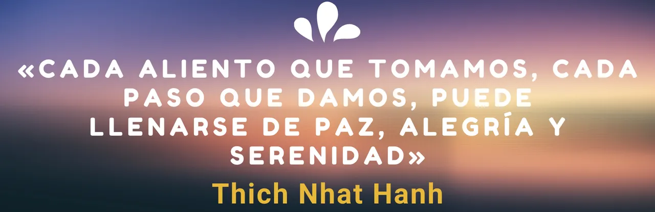 Thitch Nat Han español.png