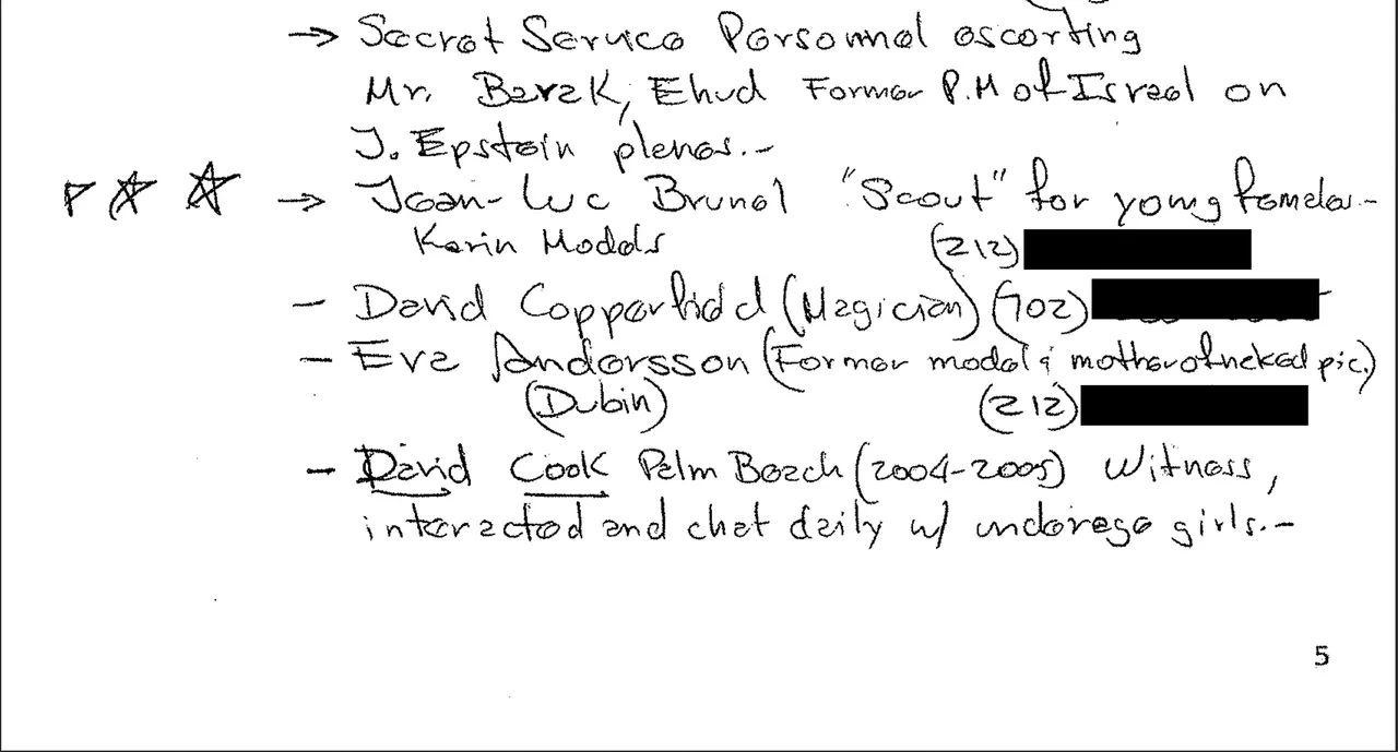 Final 95 REDAC description.png