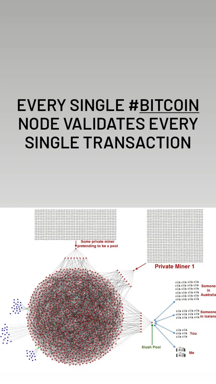 #517 Bitcoin Graphic