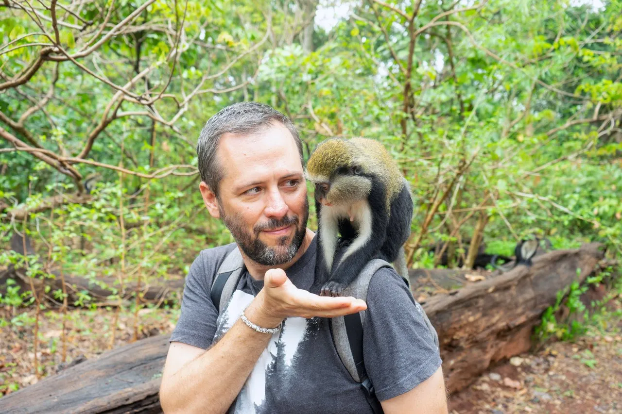 The Boabeng-Fiema Monkey Sanctuary