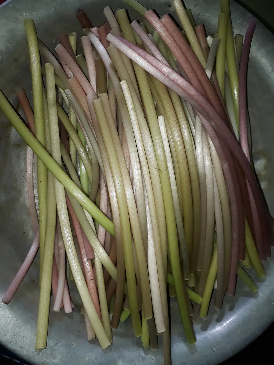 20201007_080505.jpg