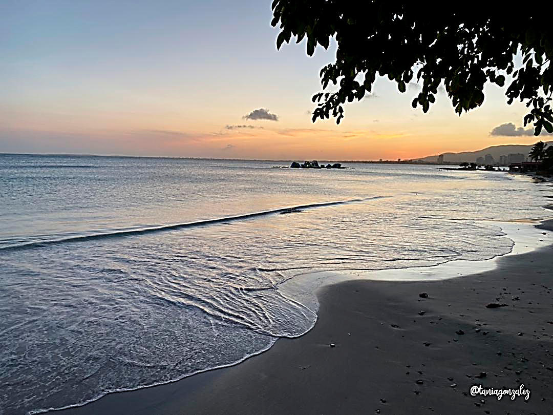 atardecer_2.jpg.png