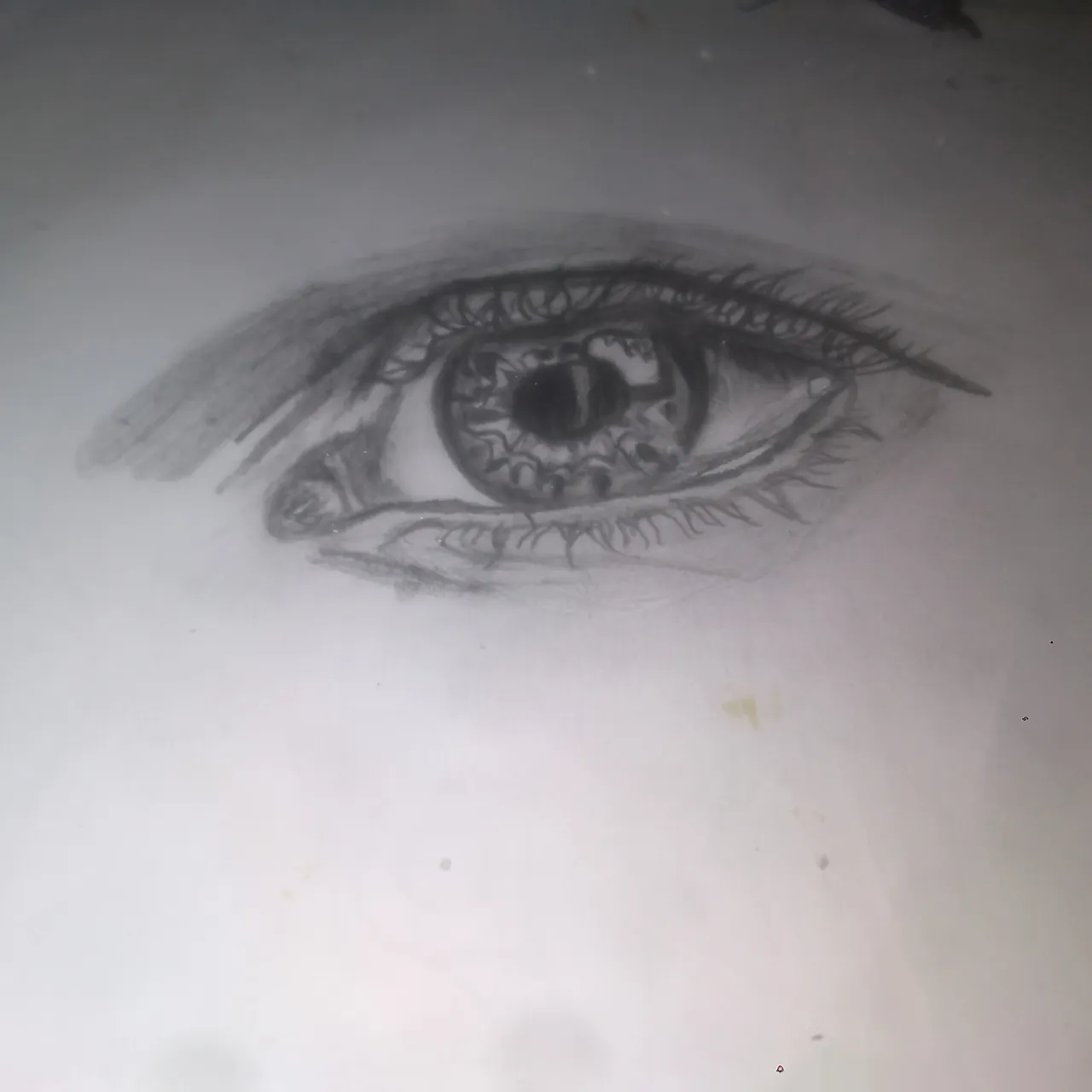 Eye drawing. . . Refrenced from @r_ol1_ . . #art #eye #sketch  #charcoaldrawing #graphitedrawing #drawing #artistoninstagram #arttherapy…  | Instagram