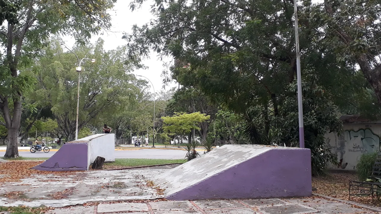 20220428_173121.jpg