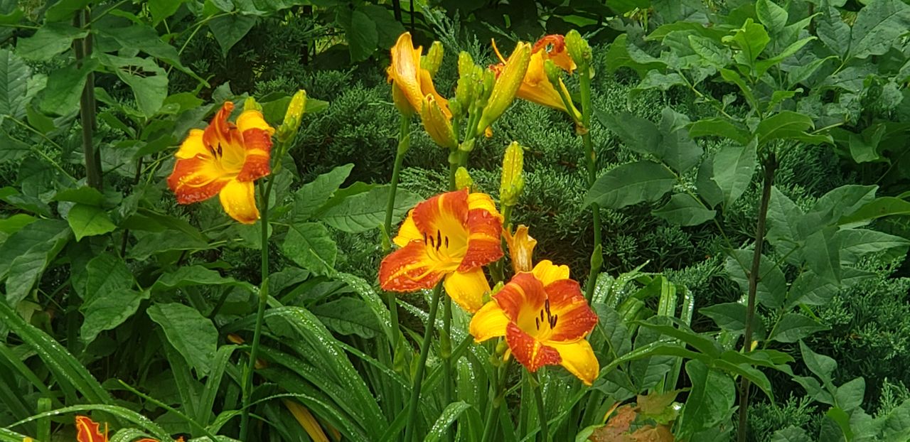 20210730_074731.jpg