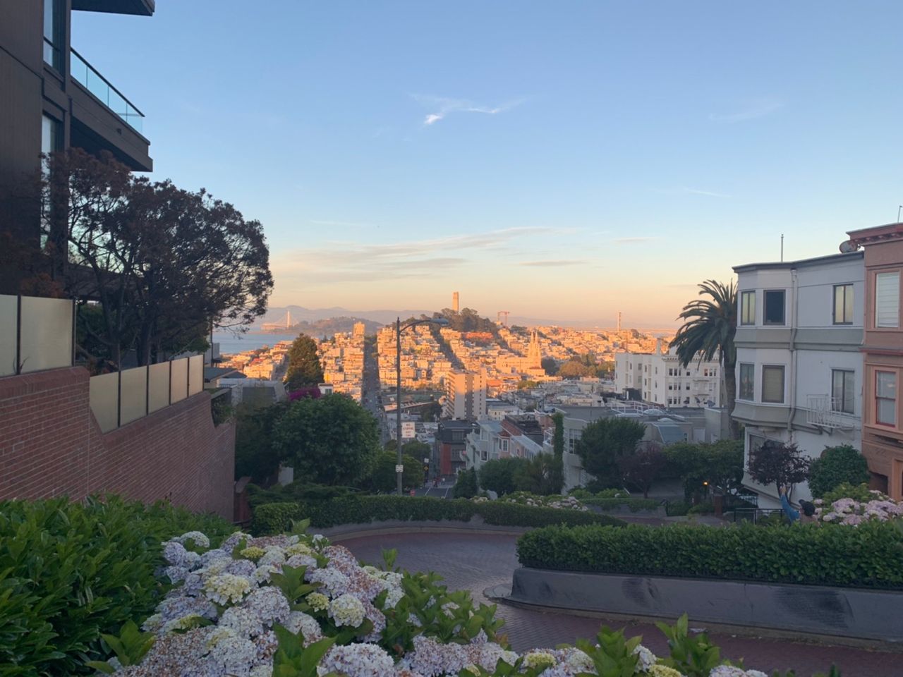san_francisco31.jpg