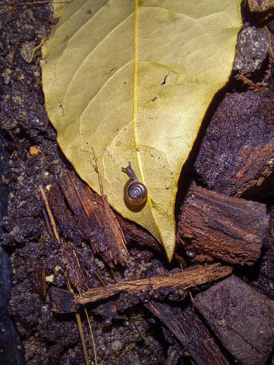 20210913_133546.jpg