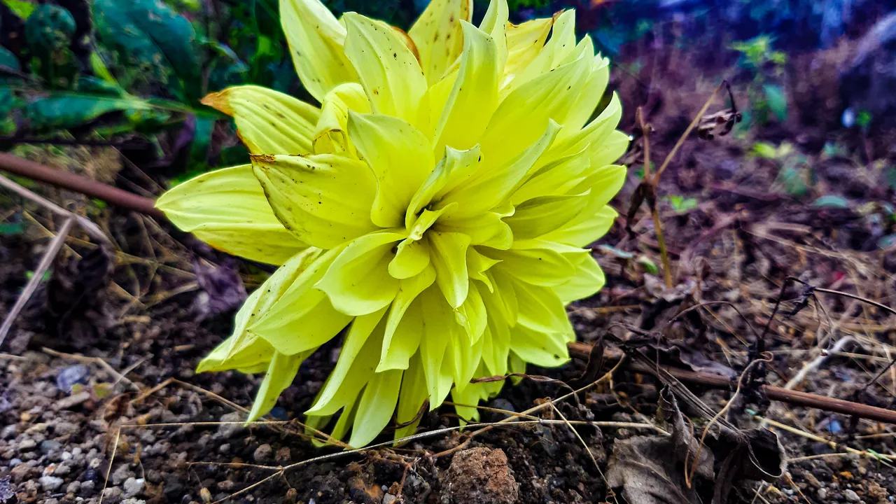 20220116_144735.jpg