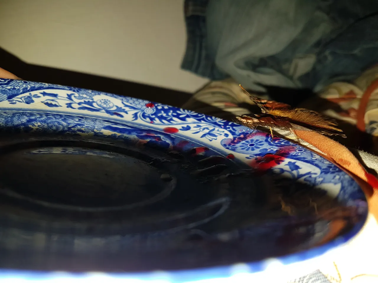 20211224_091712.jpg