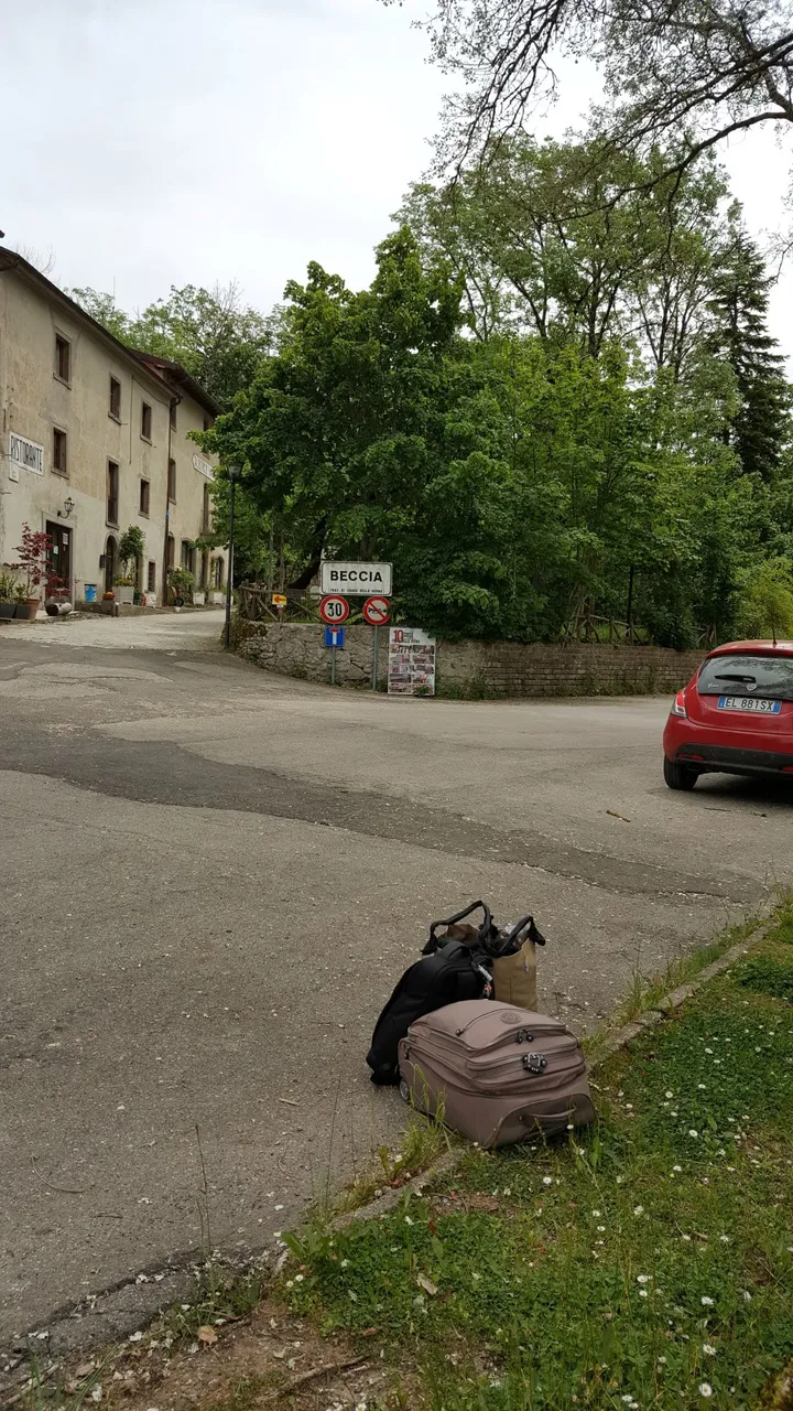20190610_120702.jpg