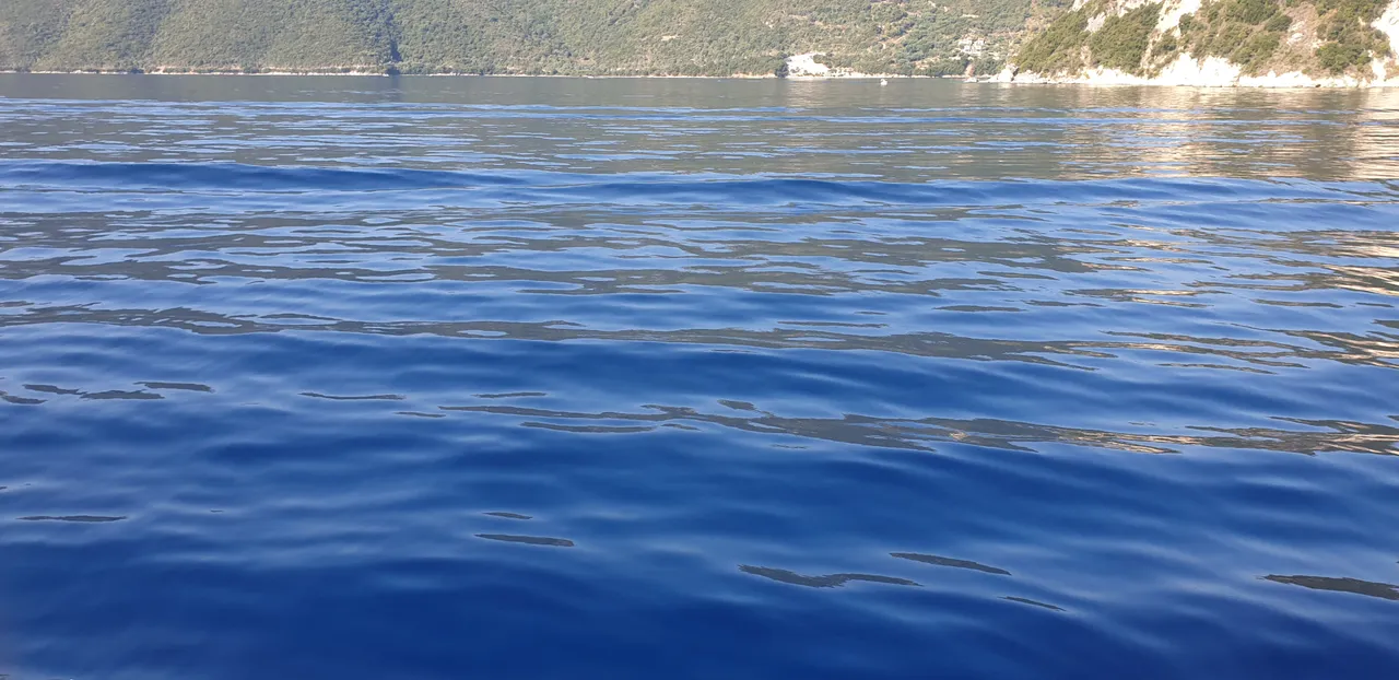 20190905_094716.jpg