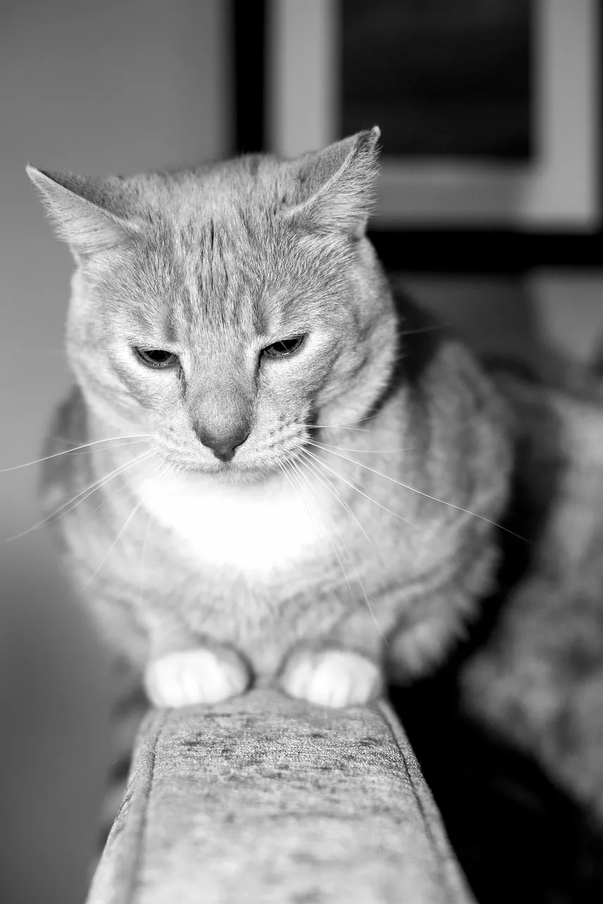evander_pouting.jpg