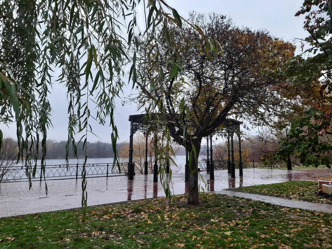 20201120_154008.jpg