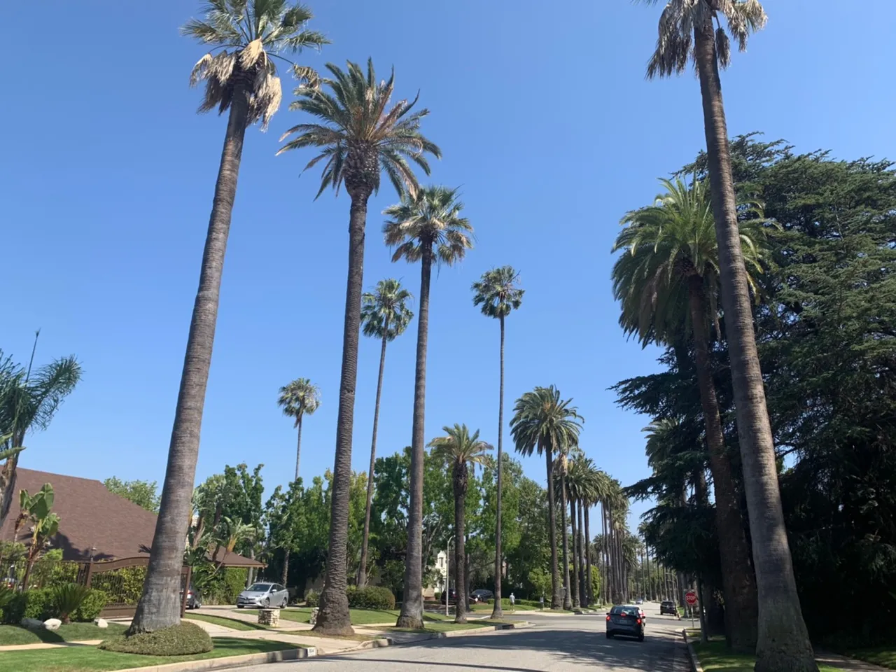 beverly_hills17.jpg