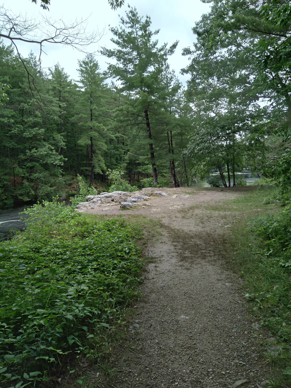 20210713_145836.jpg