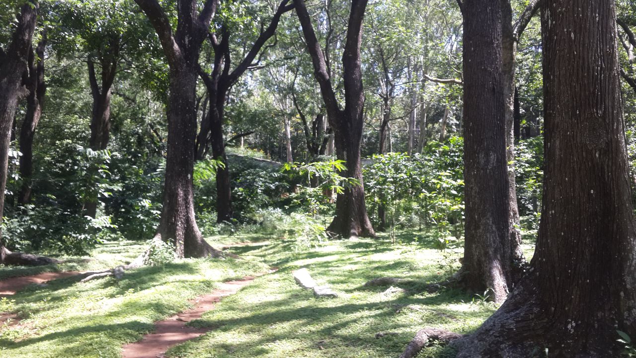 20151023_114315.jpg