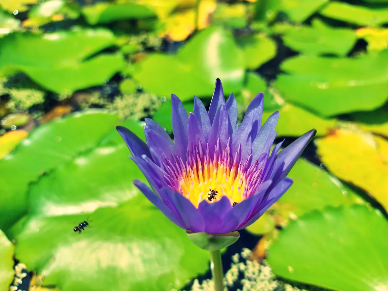 20210509_111313.jpg