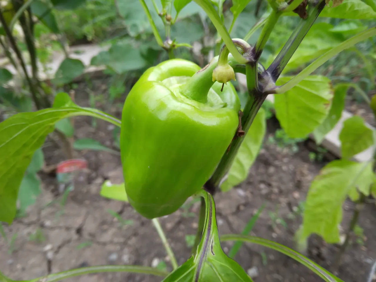 20220628_182219
