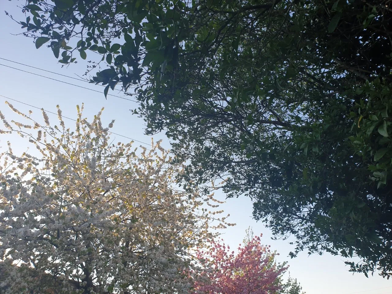 20220422_185917.jpg